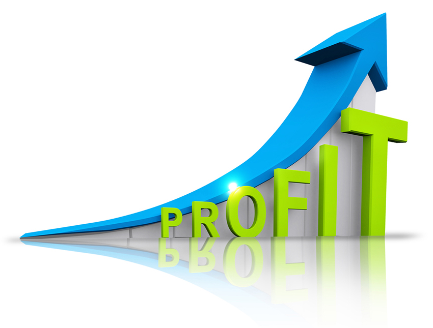 Profitable Business MSLC